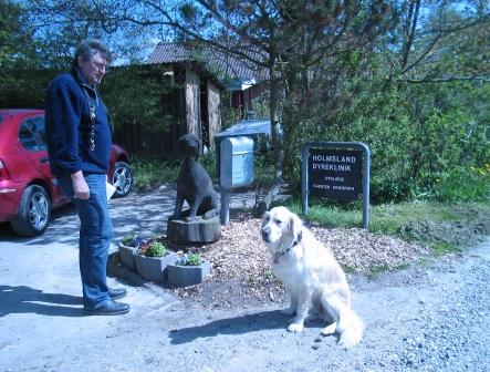 Golden Retriever Paul Froehlich/ Tierarzt in Dänemark