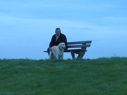 Golden Retriever Paul Froehlich/ Holstein