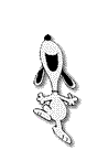 gif_ download_kostenlos_Hund_und_Katze