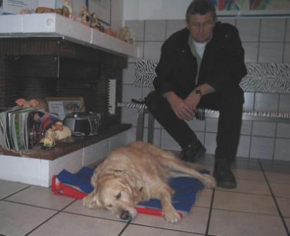 Golden Retriever Paul Froehlich/ Dr.Schulze,Goldakupunktur